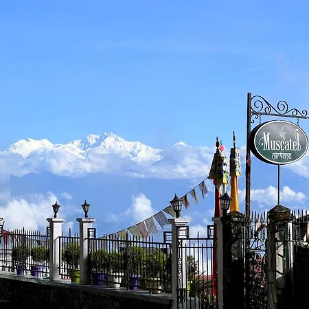 Muscatel Nirvana - At The Mall Road Darjeeling  Exterior photo